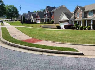 Larkendra K.'s turf care service result