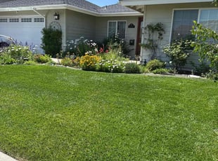 Quoneshia D.'s turf care service result