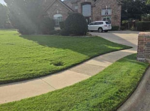 Vitina S.'s turf maintenance service result