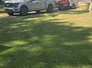 Sue B.'s grass cutting service result