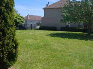 Michael S.'s lawn care service result