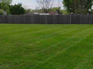 Jeff W.'s turf care service result