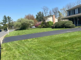 Virginia B.'s turf maintenance service result