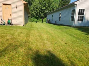 David T.'s yard maintenance service result