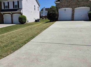 Denise R.'s lawn care services service result