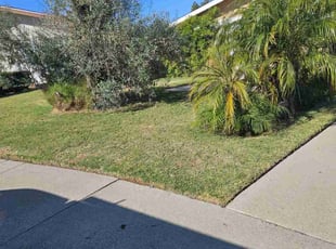 Randy D.'s lawn care service result
