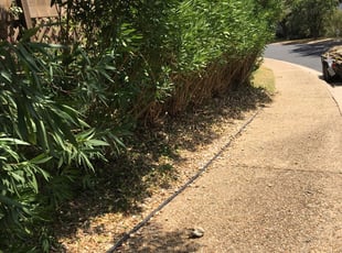 Zee K.'s Bush Trimming service result