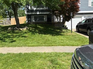 Raegan S.'s turf care service result