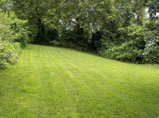 Arthur T.'s turf maintenance service result