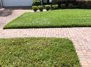 Jeffrey C.'s turf maintenance service result
