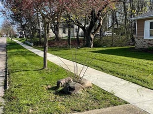 Lisa T.'s lawn maintenance service result