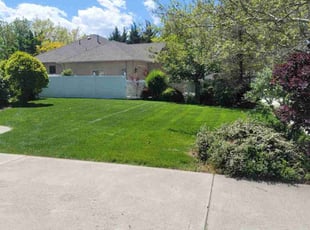 Laura E.'s lawn care service result