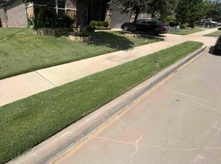 Joe M.'s lawn maintenance service result