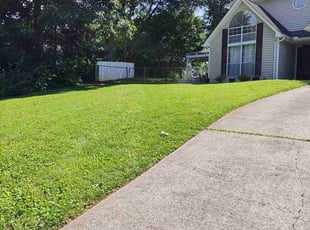 Jaime D.'s grass cutting service result