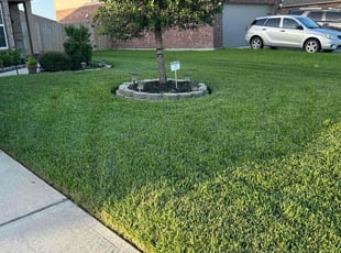 Kristi P.'s grass cutting service result