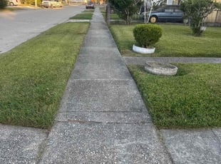 Shay G.'s lawn service service result