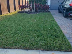 Jin K.'s lawn maintenance service result