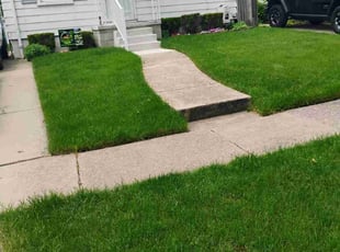 Carla H.'s Bush Trimming service result