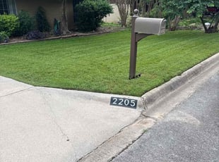 Bruce N.'s lawn care service result