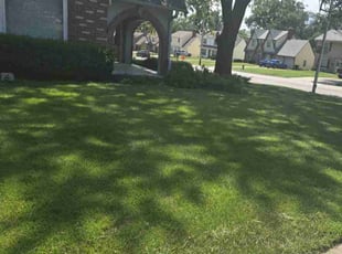 Paula F.'s lawn care services service result