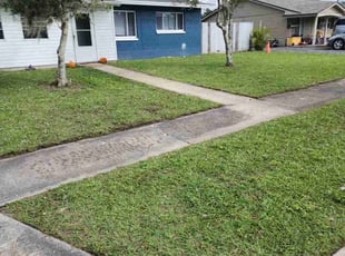 Debra W.'s lawn service service result
