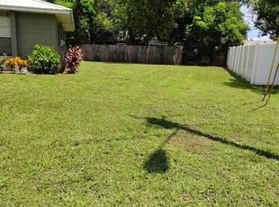 Abigayle S.'s lawn service service result