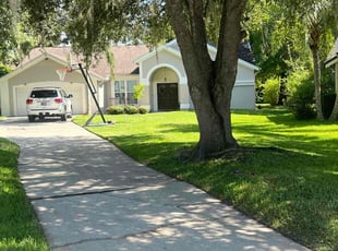 Rosa R.'s turf care service result