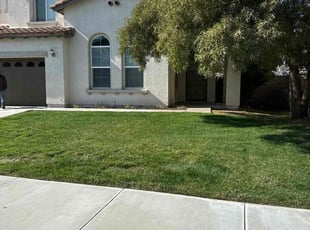 Gregg S.'s lawn service service result