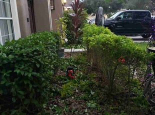 Jon F.'s Bush Trimming service result