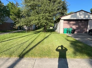 Janna R.'s grass cutting service result