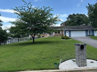 Dean L.'s Lawn Mowing service result