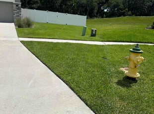 Kira G.'s turf care service result