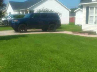 Phyllis T.'s turf maintenance service result