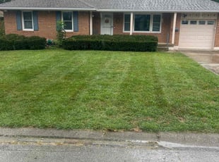 Howard F.'s lawn maintenance service result