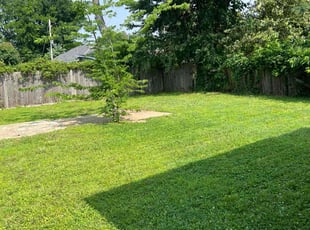 Michael S.'s turf maintenance service result