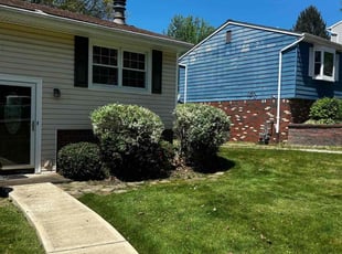 Jon S.'s Bush Trimming service result