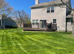 Brunilda V.'s grass maintenance service result