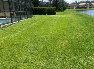 Karen M.'s turf maintenance service result