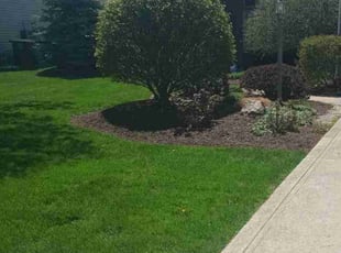 Justin H.'s turf maintenance service result