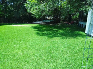 Crashawn C.'s lawn service service result