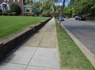 Anthony J.'s turf care service result