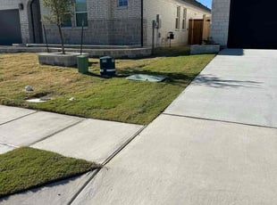 Terri L.'s lawn care service result