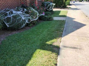 Sheryl B.'s lawn maintenance service result