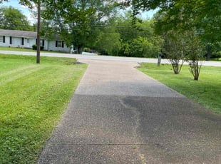 Carol C.'s grass maintenance service result