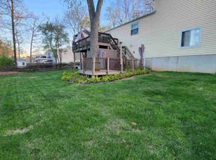 Michael D.'s lawn care services service result