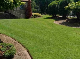 Elizabeth O.'s lawn care services service result