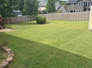 Greg L.'s lawn maintenance service result