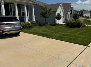 Jared B.'s grass maintenance service result