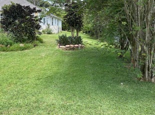 Brian L.'s lawn care service result