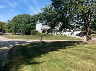 Jennell L.'s lawn care service result